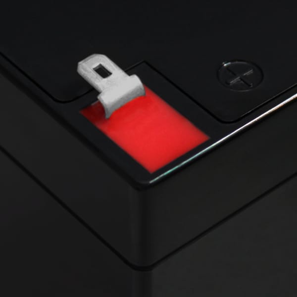 Mighty Max Battery 12V 5AH Replaces Black Decker 243215 Irrigation